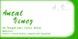 antal vincz business card